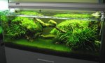 green aquarium.jpg